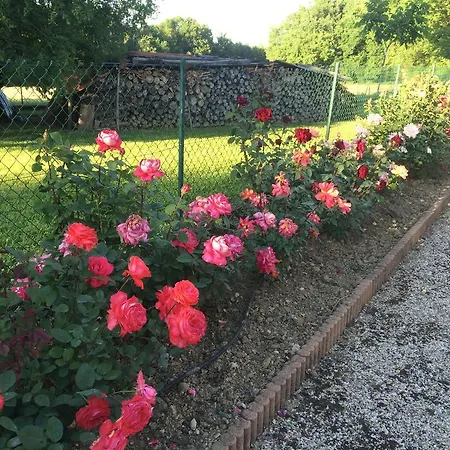 Pensionat Maison D'hotes Les Boulbenes Monteils (Tarn-et-Garonne)