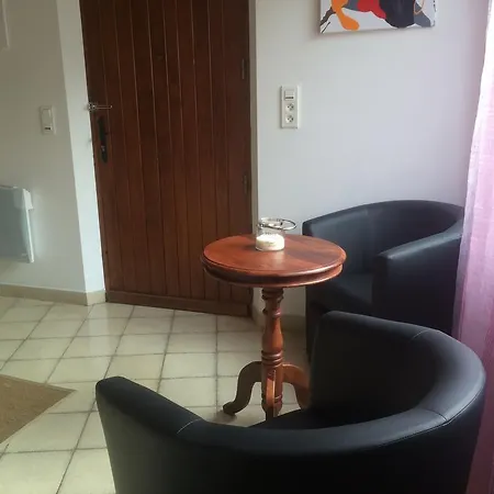 Pensionat Maison D'hotes Les Boulbenes